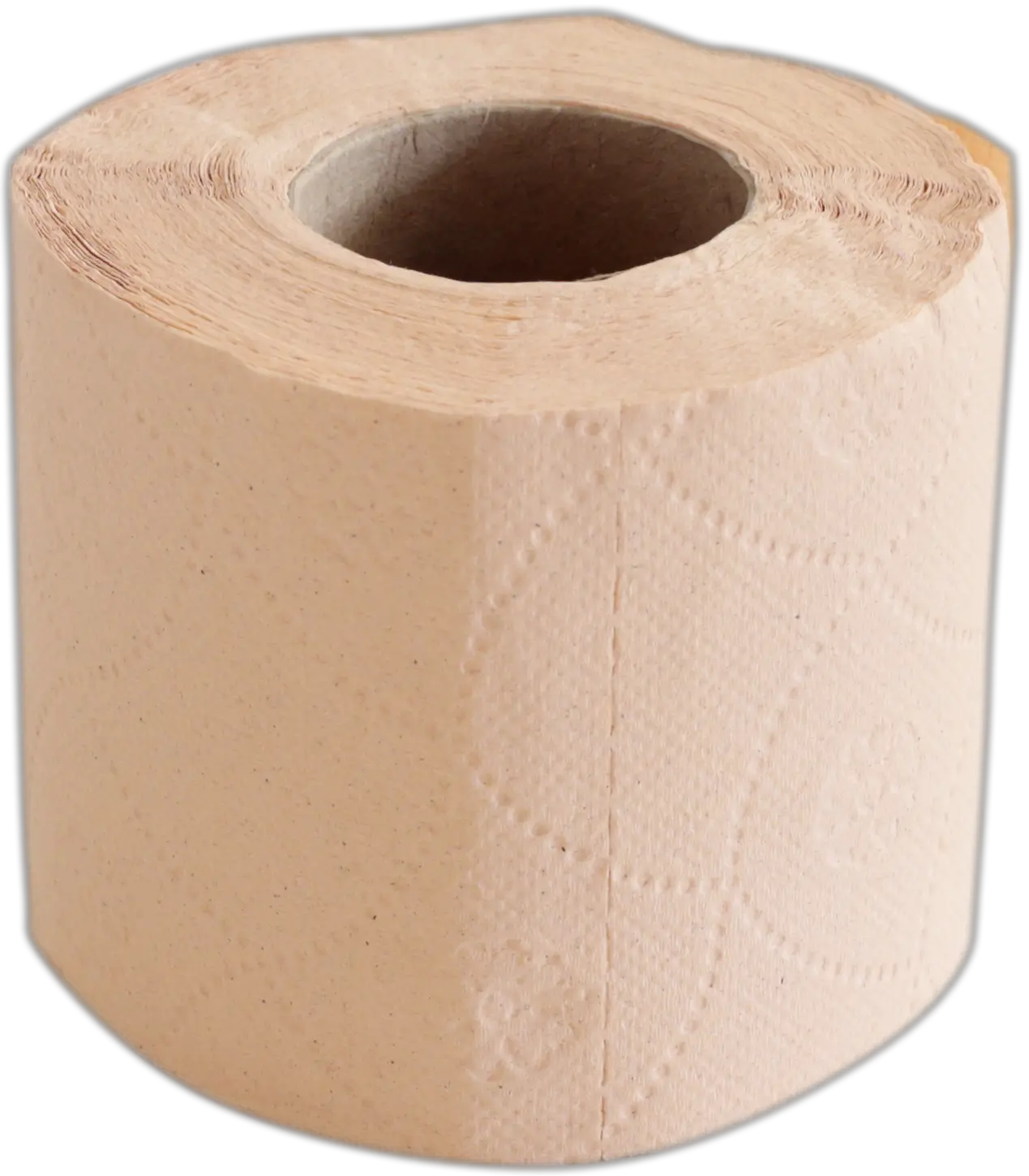 Toilet paper PNG