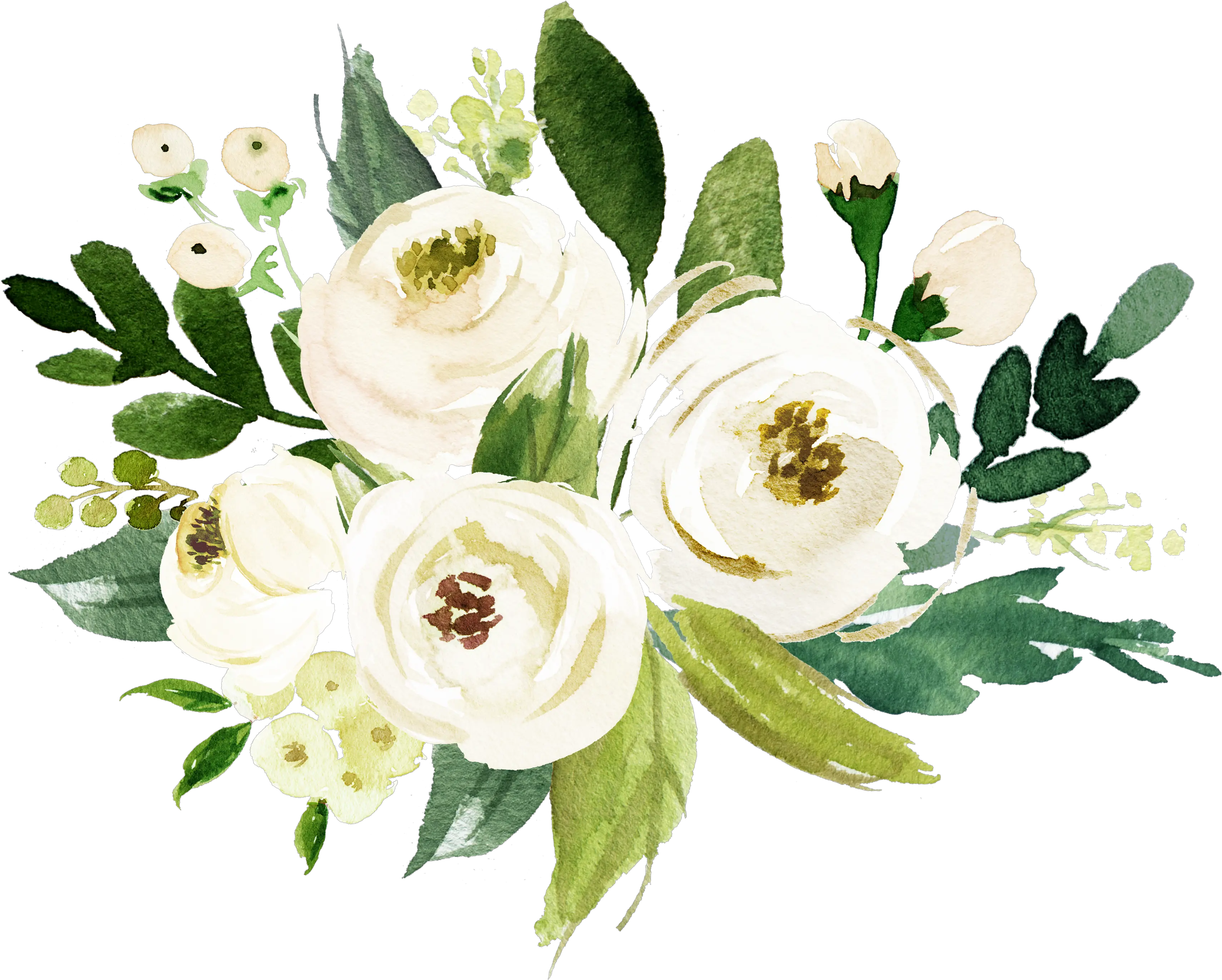 Watercolor White Flower Png