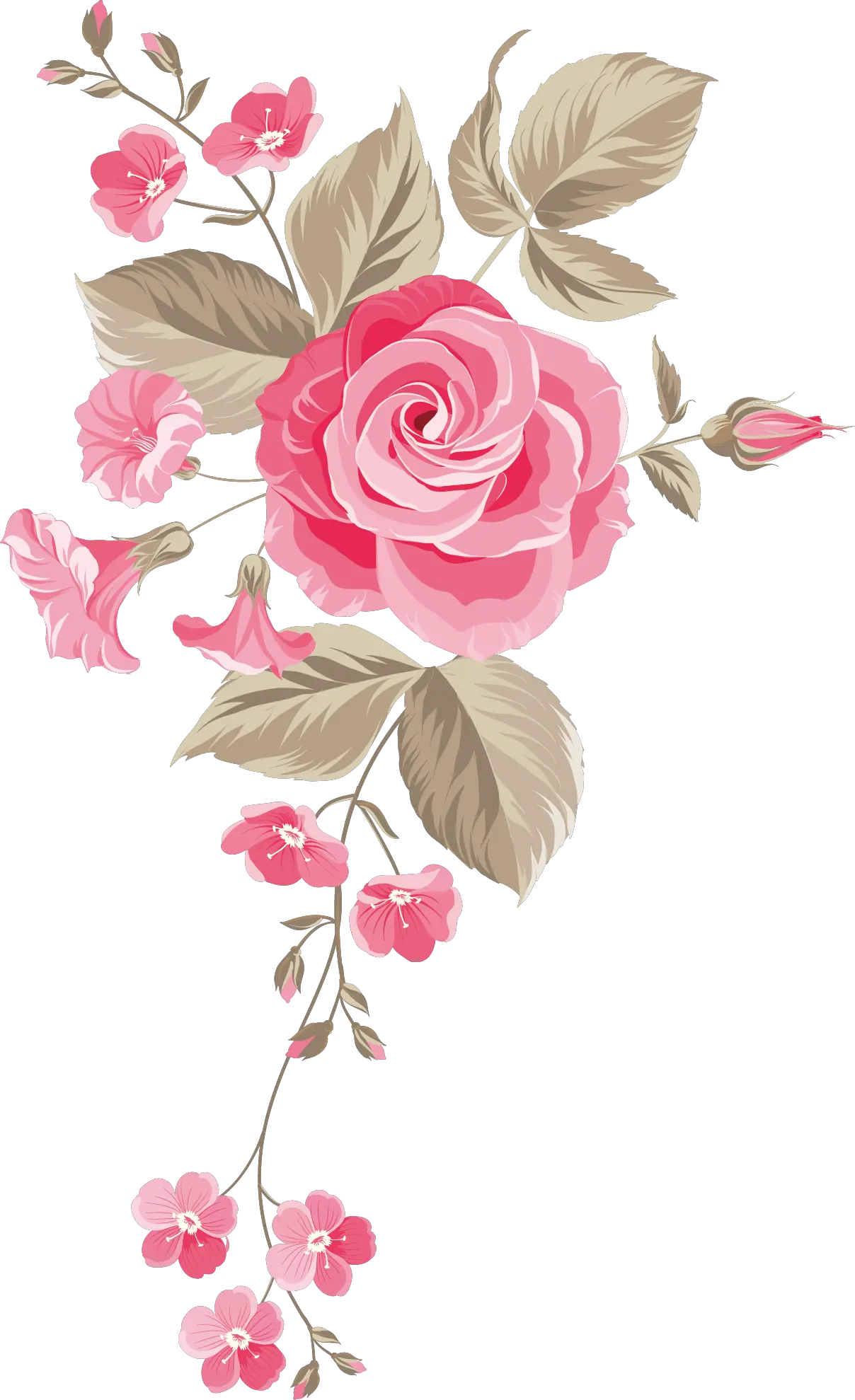 Rose Flower Png Image Free Download Searchpng Transparent Background Pink Roses