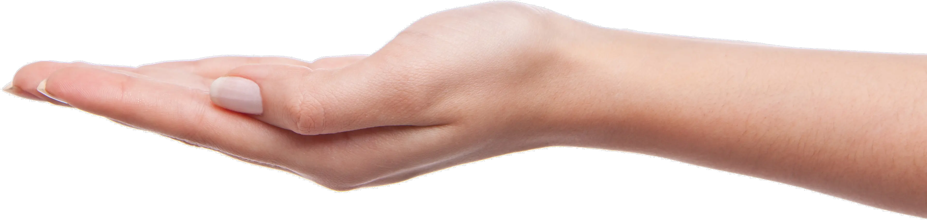 Palm Hands Png