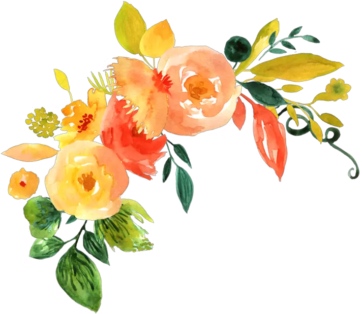 Free Floral Png Orange Watercolor Flowers Png