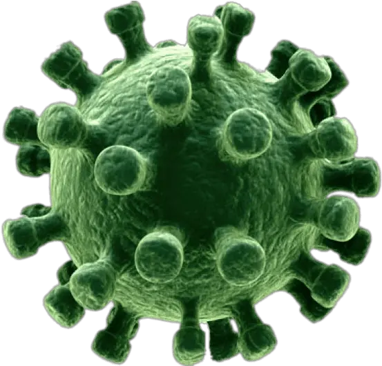 Green Virus Virus Png