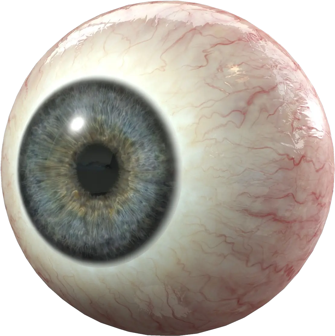 Eye Png Transparent Background Eyeball Png