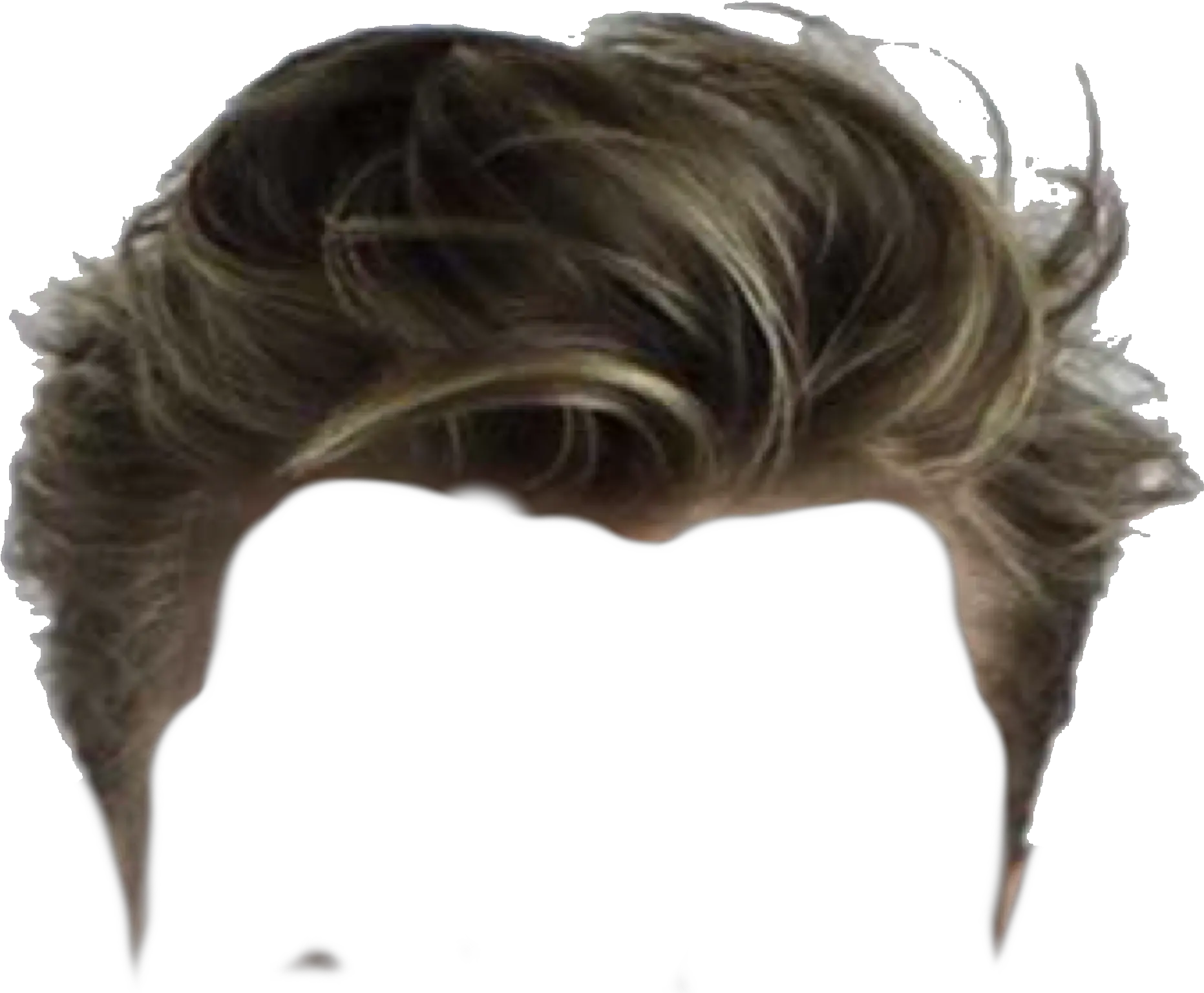 Hair Wig Png Man