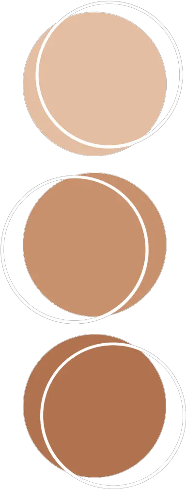 color brown palette anatomy aesthetic kpop Aesthetic Color Palette Circle