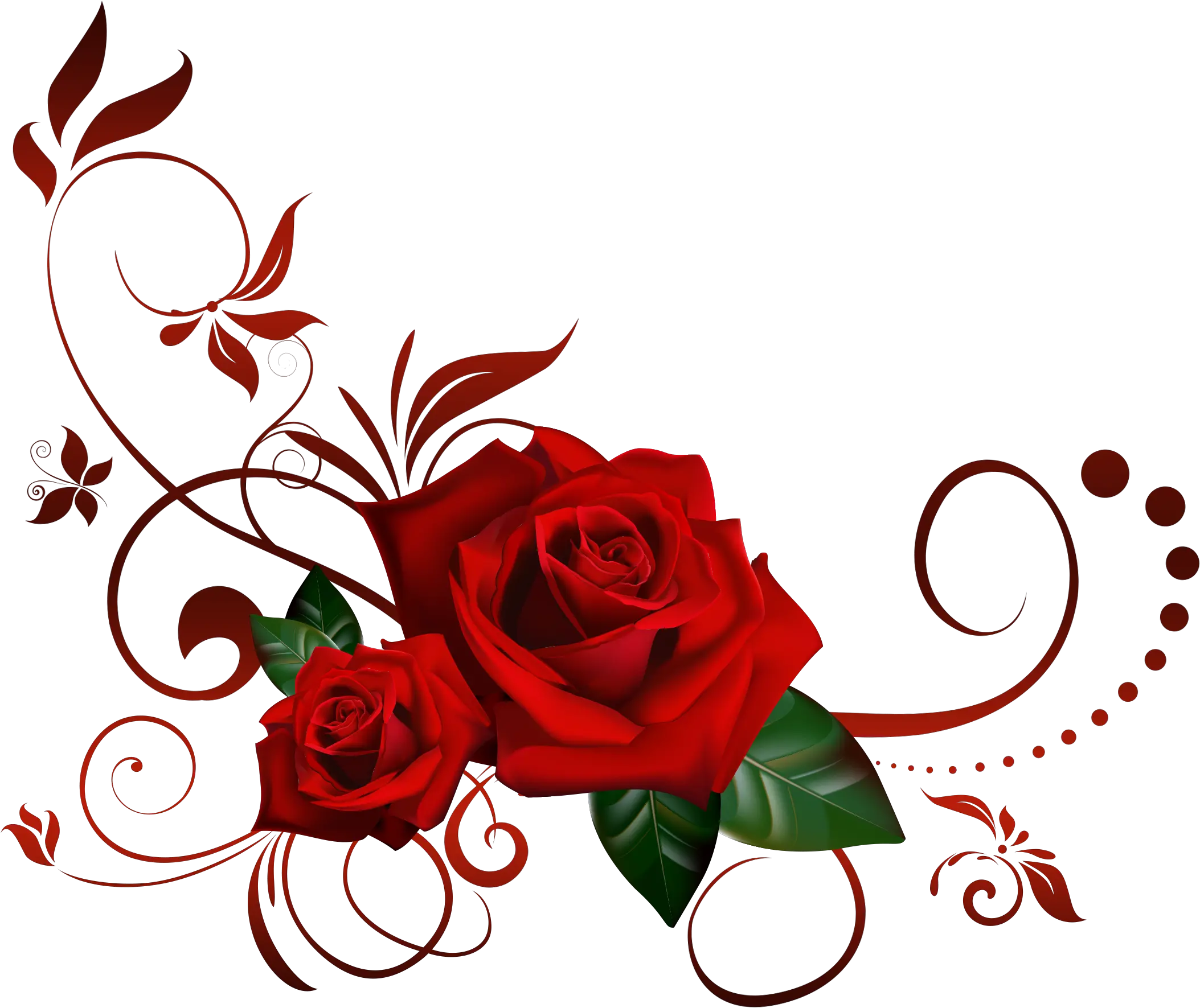 Transparent Background Rose Png Hd