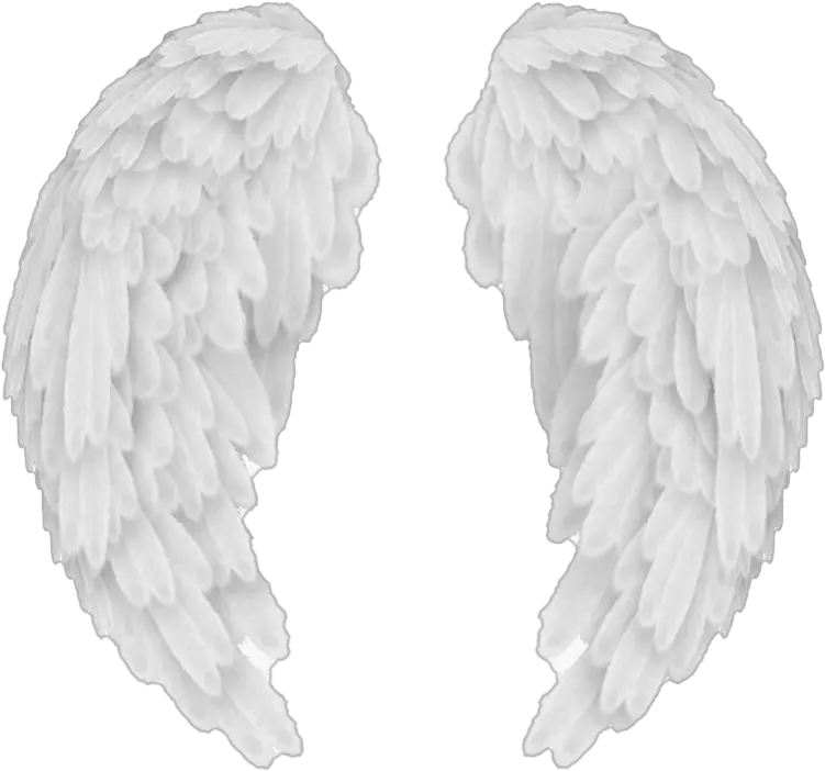 Vector Angel Wings Png Image Transparent Background Angel Wings Png