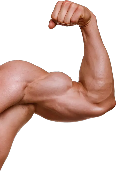 Muscle Arm Png Muscle Arms Png