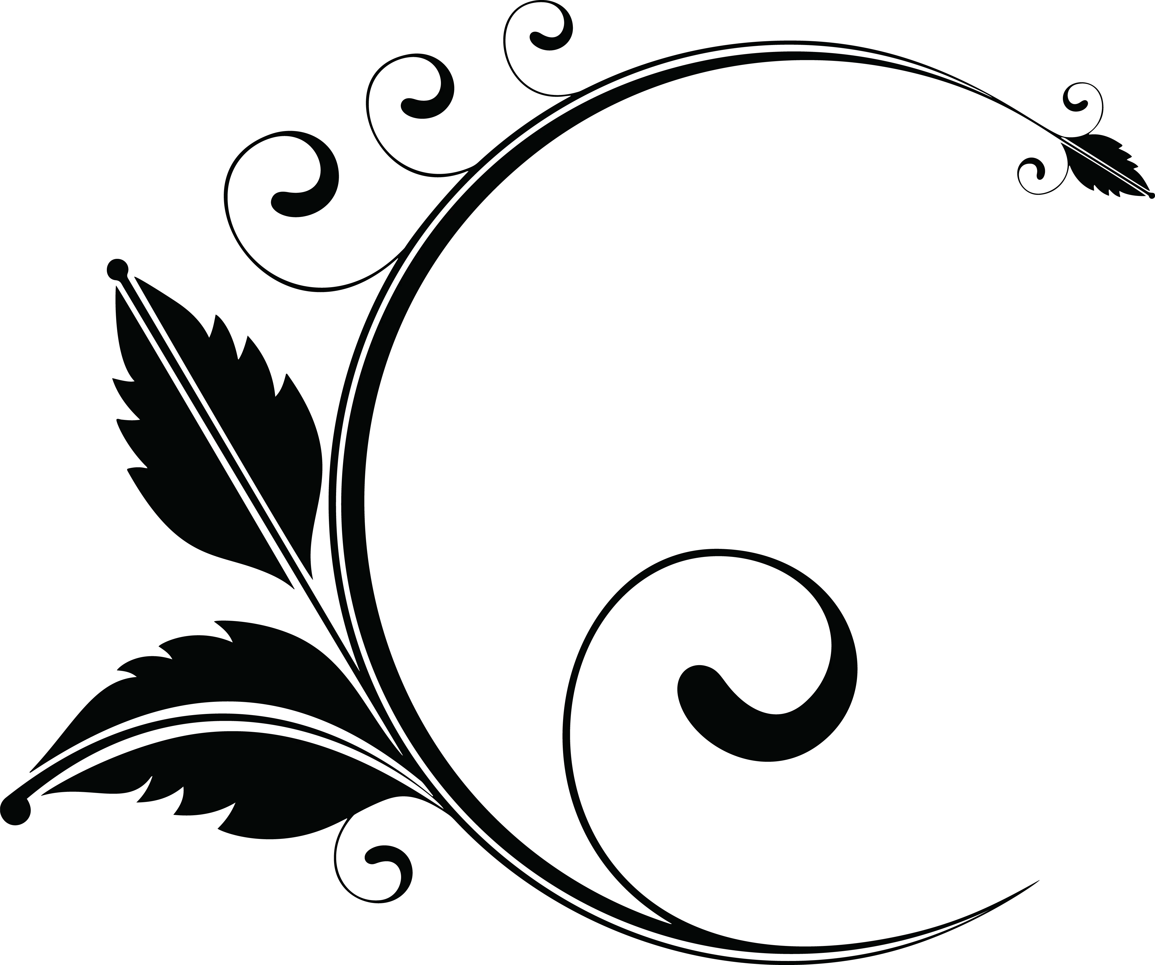 Transparent Floral Line Png Floral Designs Black Png