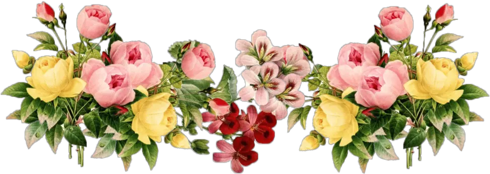 Flores Png Thumb Image Background Transparent Flower Png