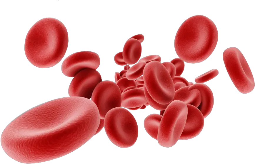 Red Blood Cells Png