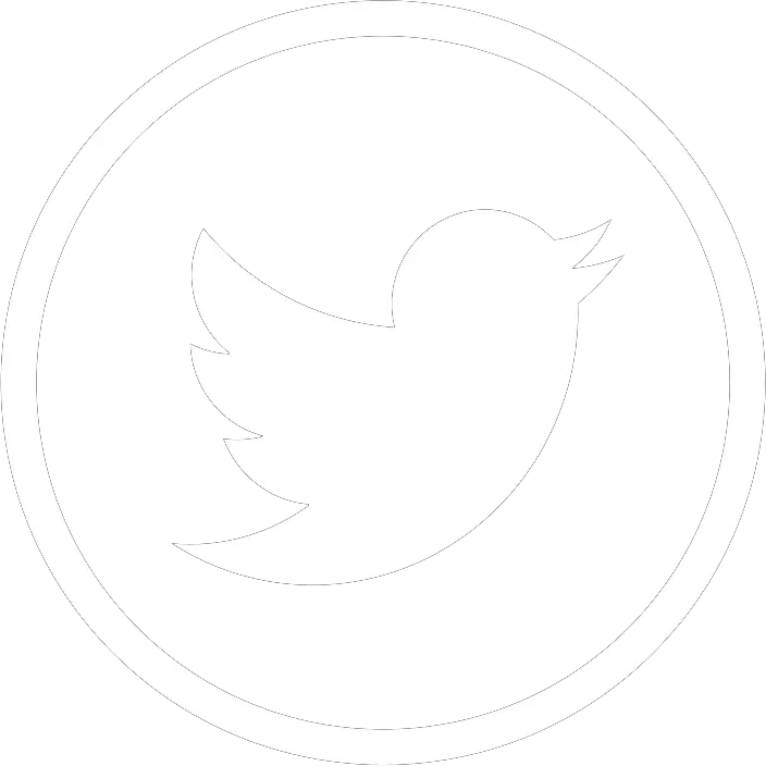 White Twitter Logo Gif