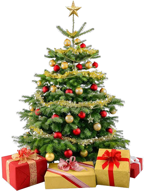 Christmas Tree Png Christmas Tree No Background