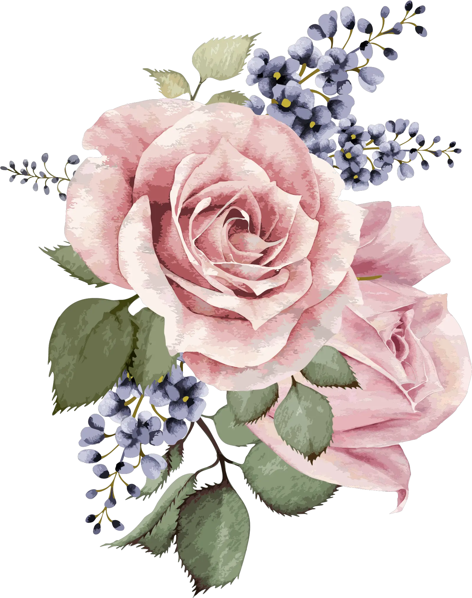 Transparent Background Watercolor Flower Png