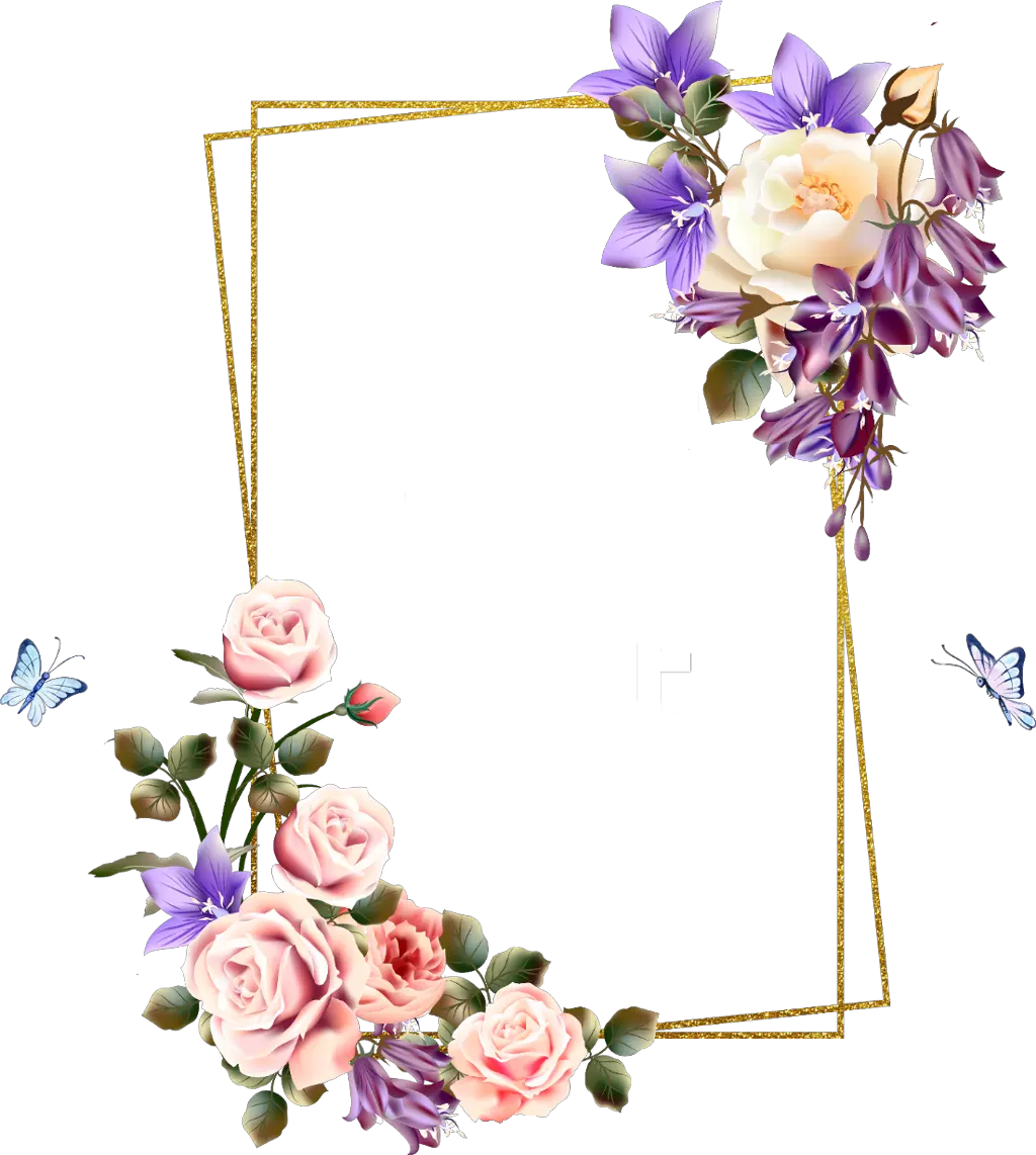 rose square flower floral frame butterfly gold Nogizaka46