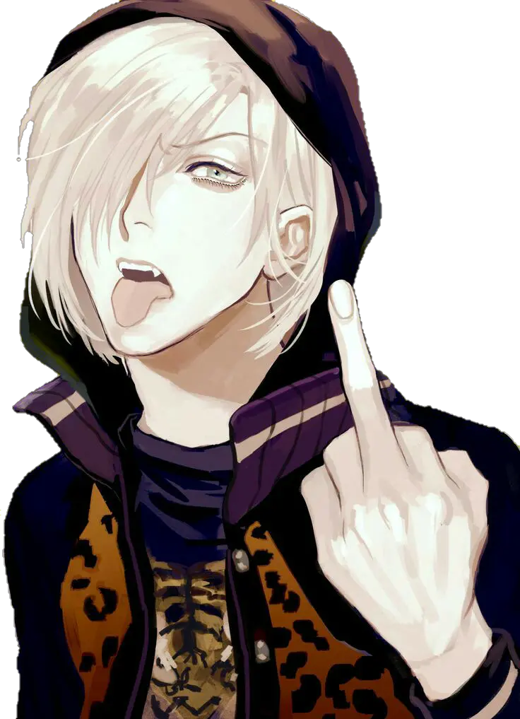 Middle Finger Anime Boy