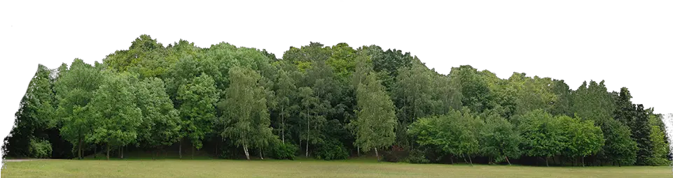 Png Tree Line