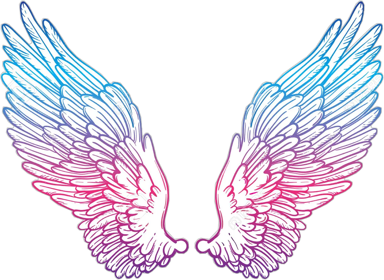 Cute Wing Png Transparent Cute Wings