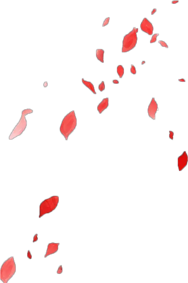 Transparent Rose Petals Png Anime Flower Petals Png