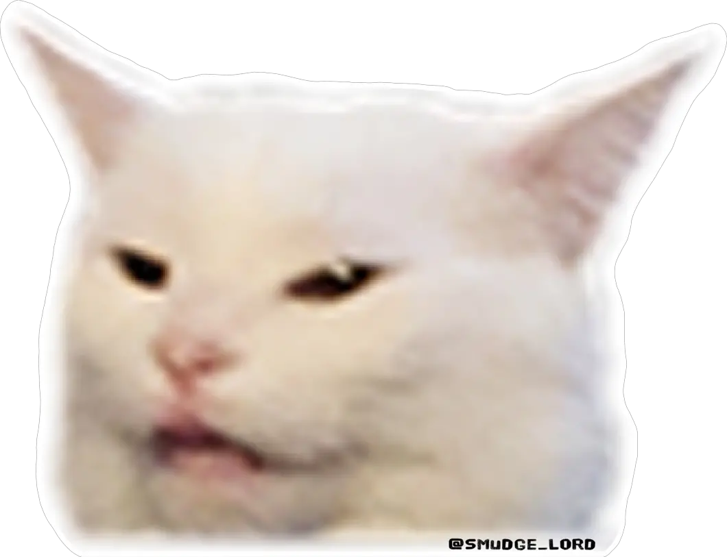 Smudge The Cat Meme Png