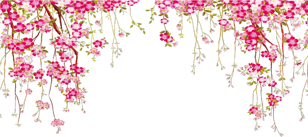 Transparent Hanging Vines Png Border Flowers Vector Png