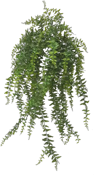 Transparent Hanging Plants Png