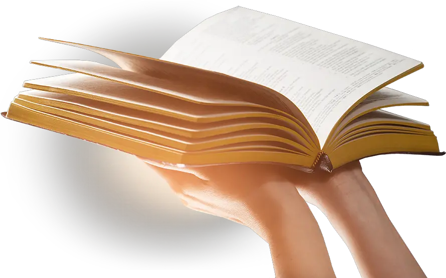 Holding The Open Bible Up Open Bible Png Transparent