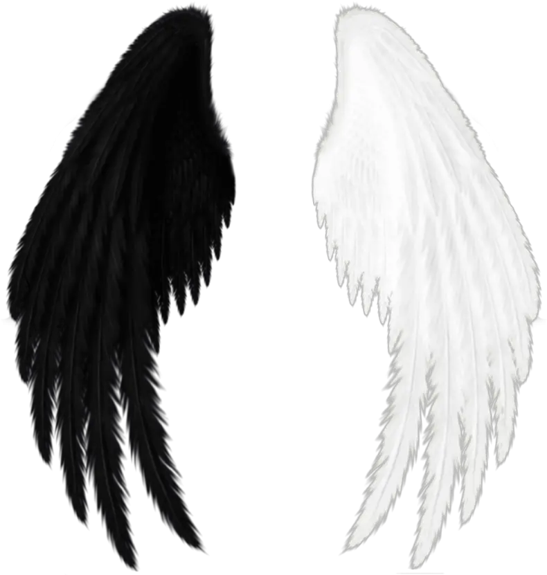 wings black white black And White Red Angel Wings Png