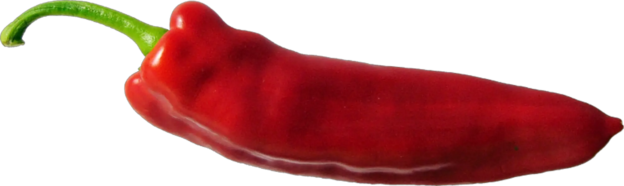 Chilli