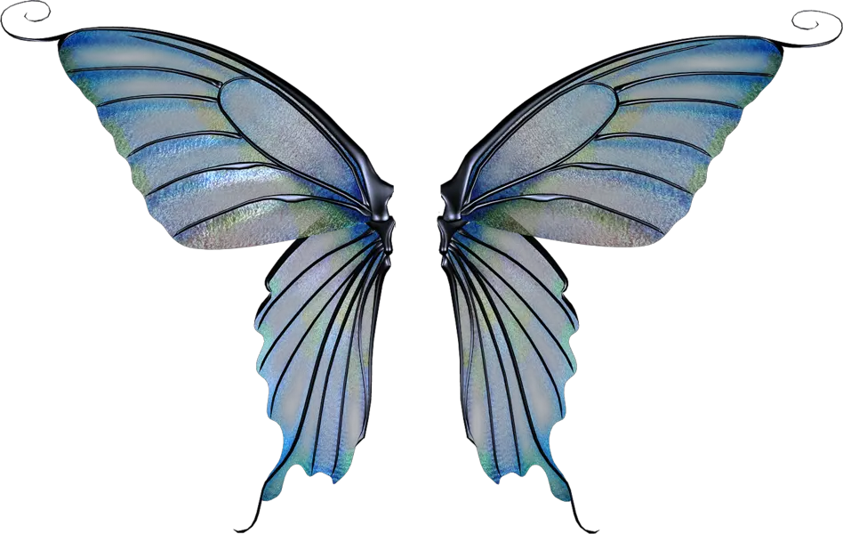 Transparent Background Fairy Wings Transparent