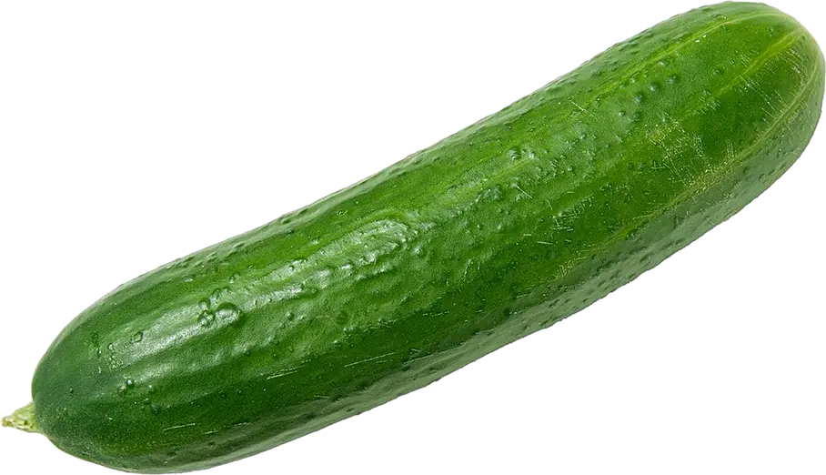 Cucumber Png Images Free Download Cucumber Png