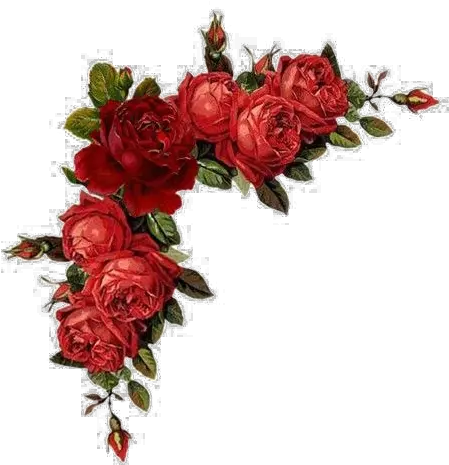 Red Flowers Png Red Flowers Border Png