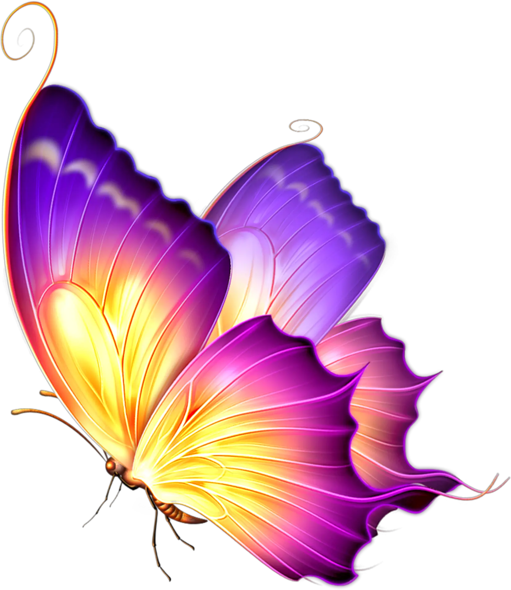 ftestickers butterfly glow pink purple Purple And Gold Butterfly