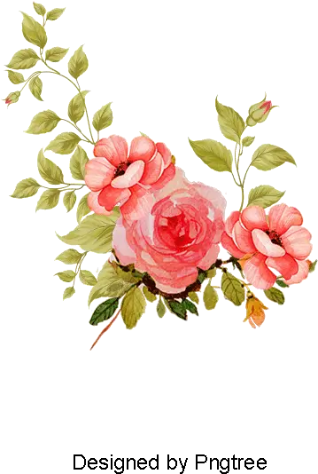 Free Flower Vector Png Transparent Floral Png Vector