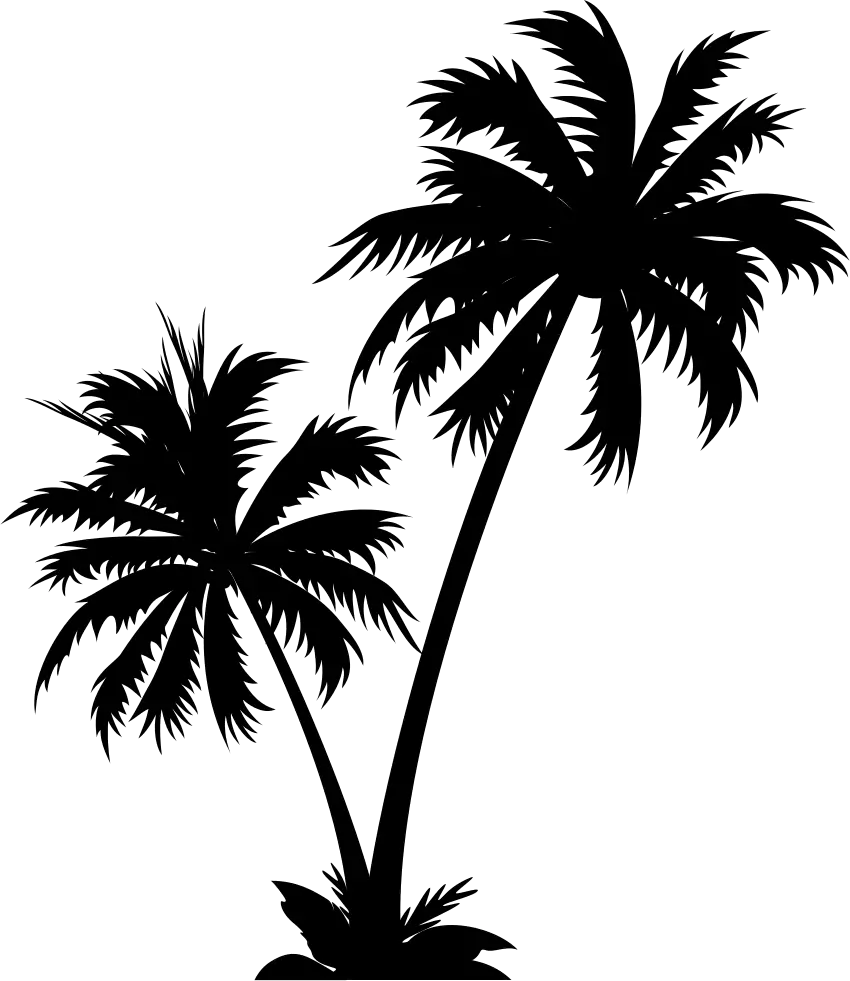 Transparent Coconut Tree Vector Png Coconut Tree Vector Png