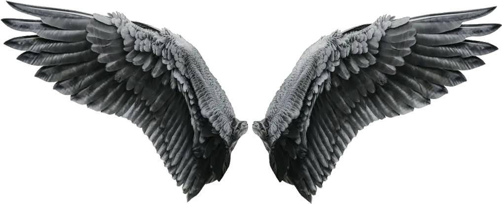 Black Angel Wings