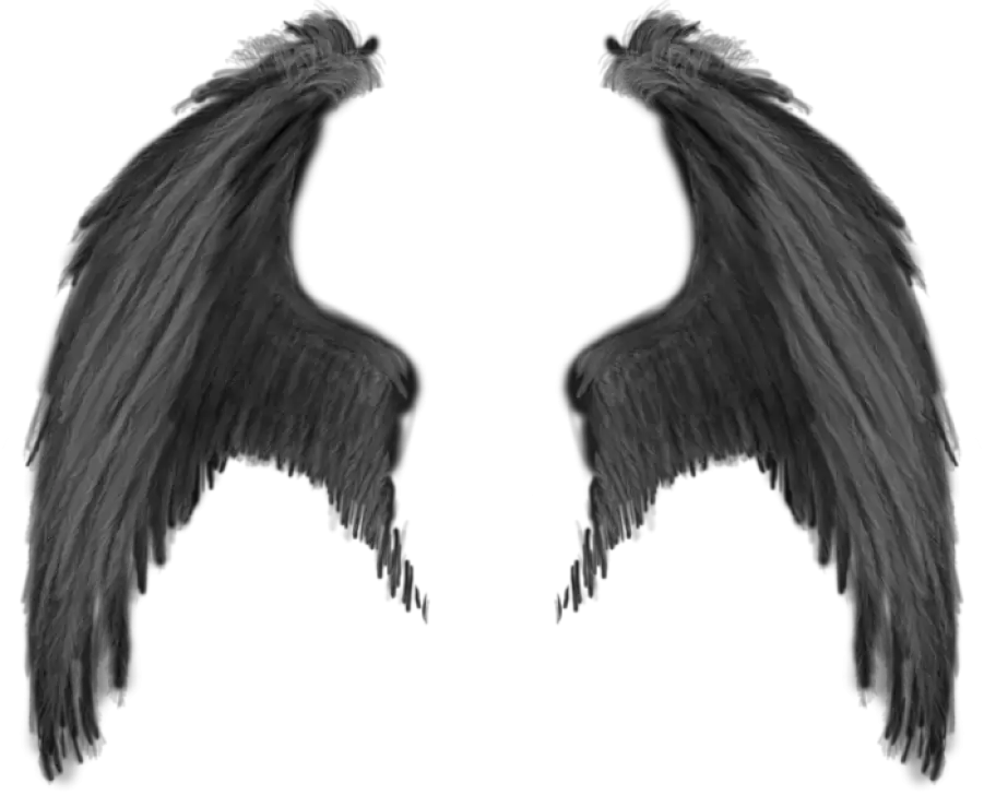 Demon Wings Png