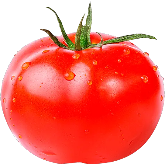 Tomato Fruit Or Vegetable Meme