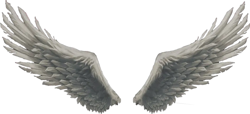 Angel Wings God Sticker Feather Png For Editing