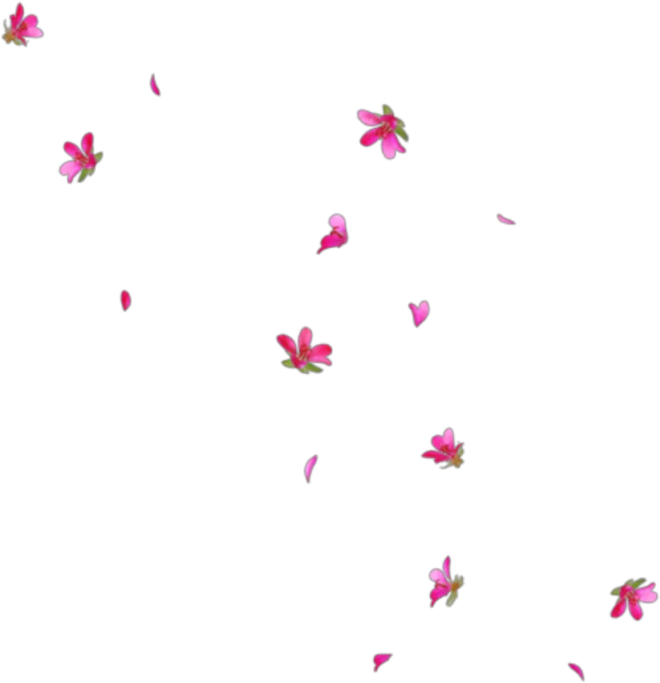 rain interesting art tumblr pngs png flowers Transparent Flower Rain Png