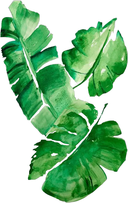 Tropical Leaves Watercolor Png