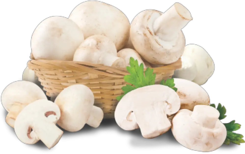 Transparent Button Mushroom Png