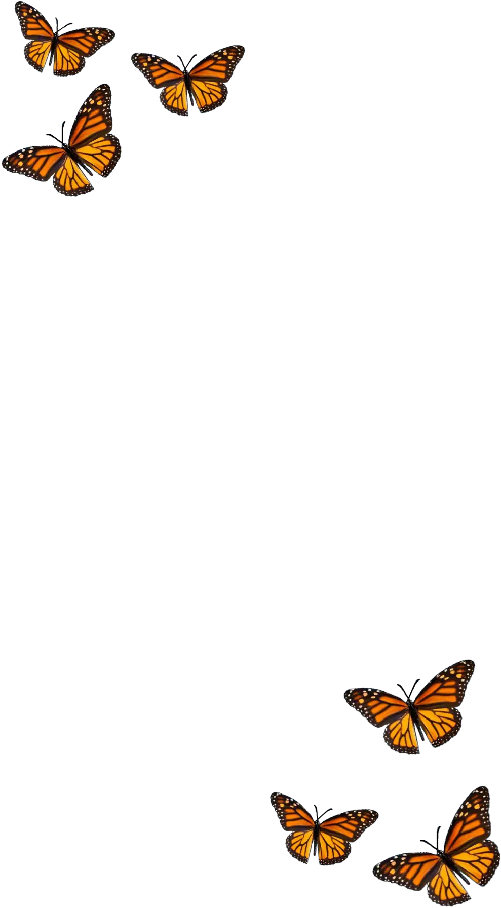 filter butterfly orange black aesthetic Monarch Butterfly