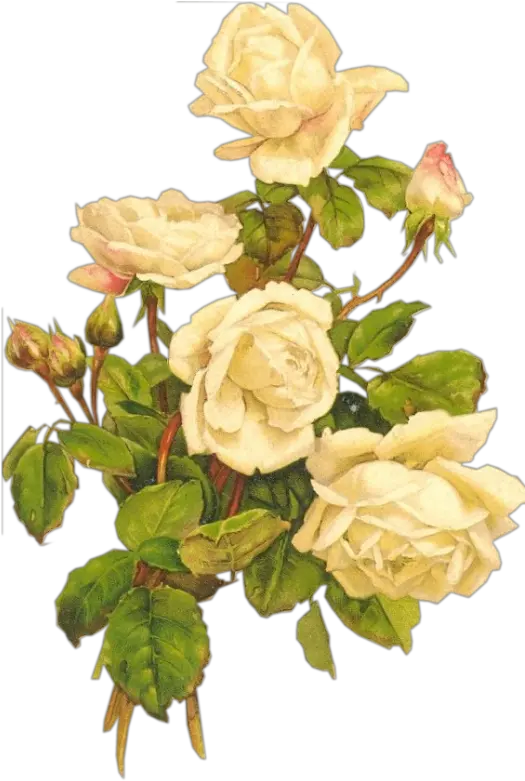 White Vintage Flowers Png