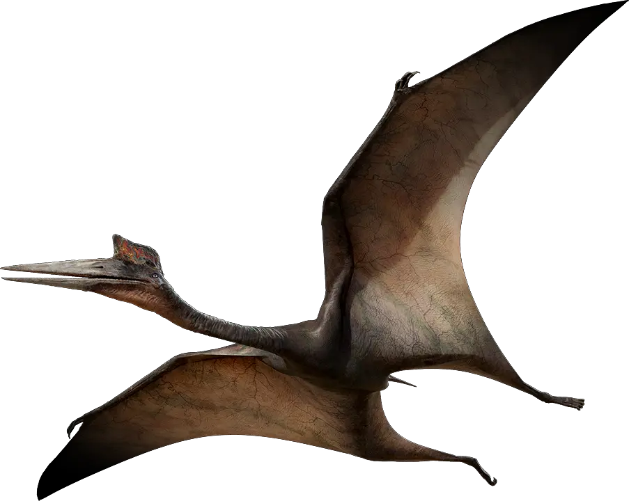 Azhdarchidpromo Pterodactyl Png