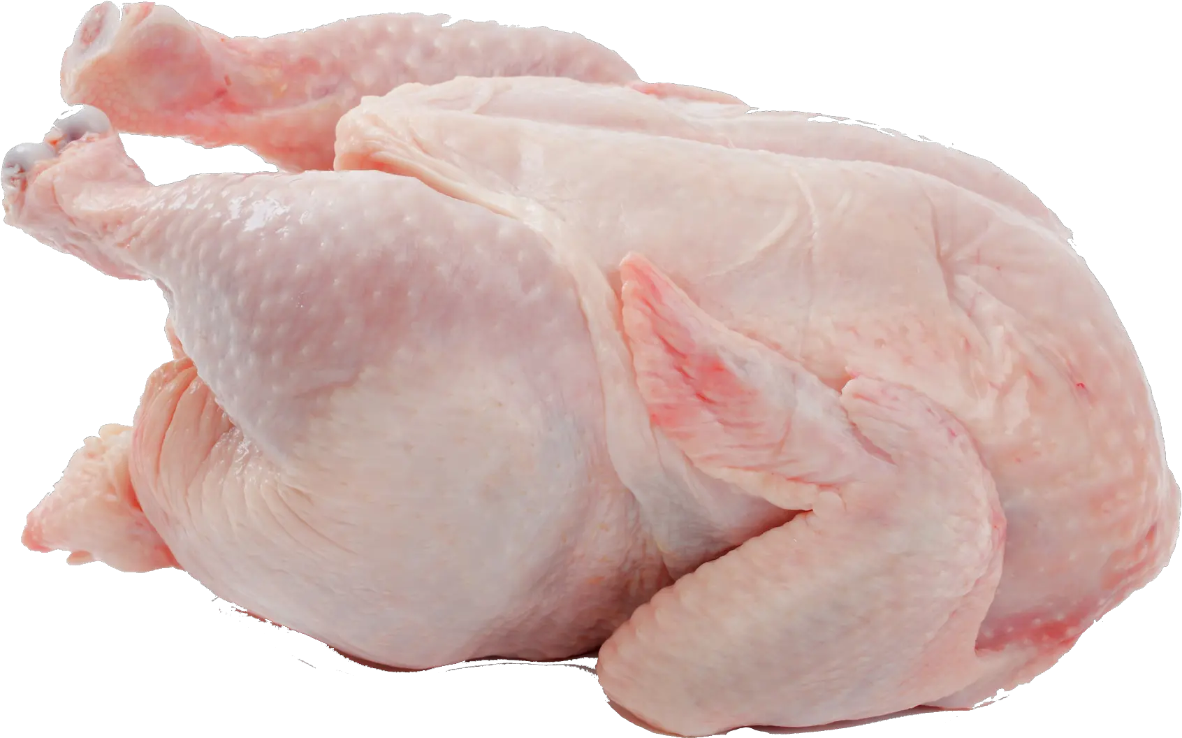 Transparent Chicken Png Transparent Chicken Meat Png