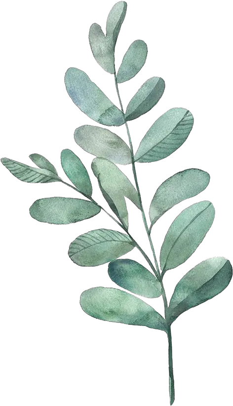 Watercolour Green Leaves Png