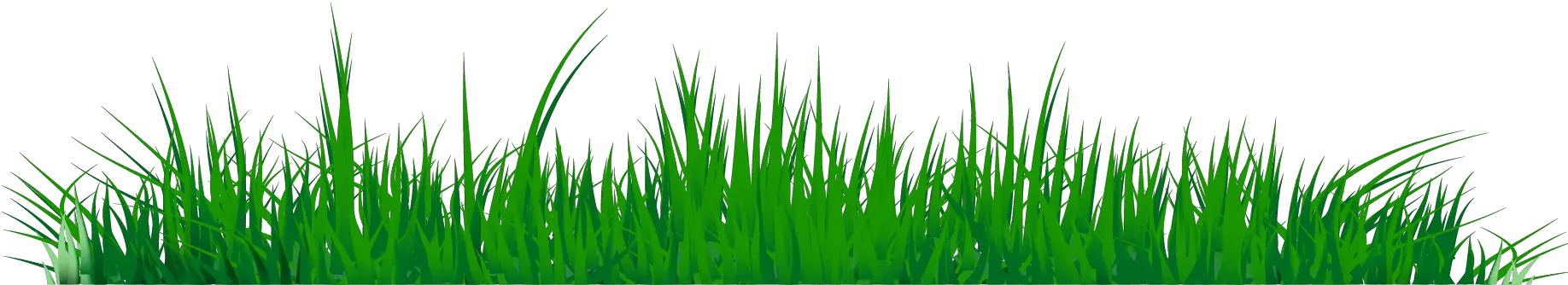 Grass Clipart Png Image 07 Sweet Grass