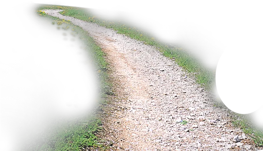 Road Transparent Background Png Clip Art Dirt Road