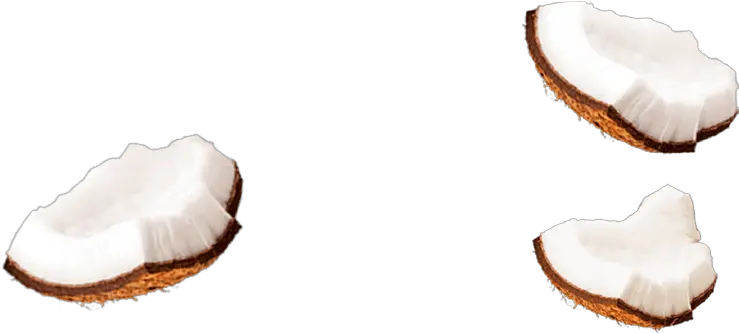 Coconut Milk Png Coconut Piece Png